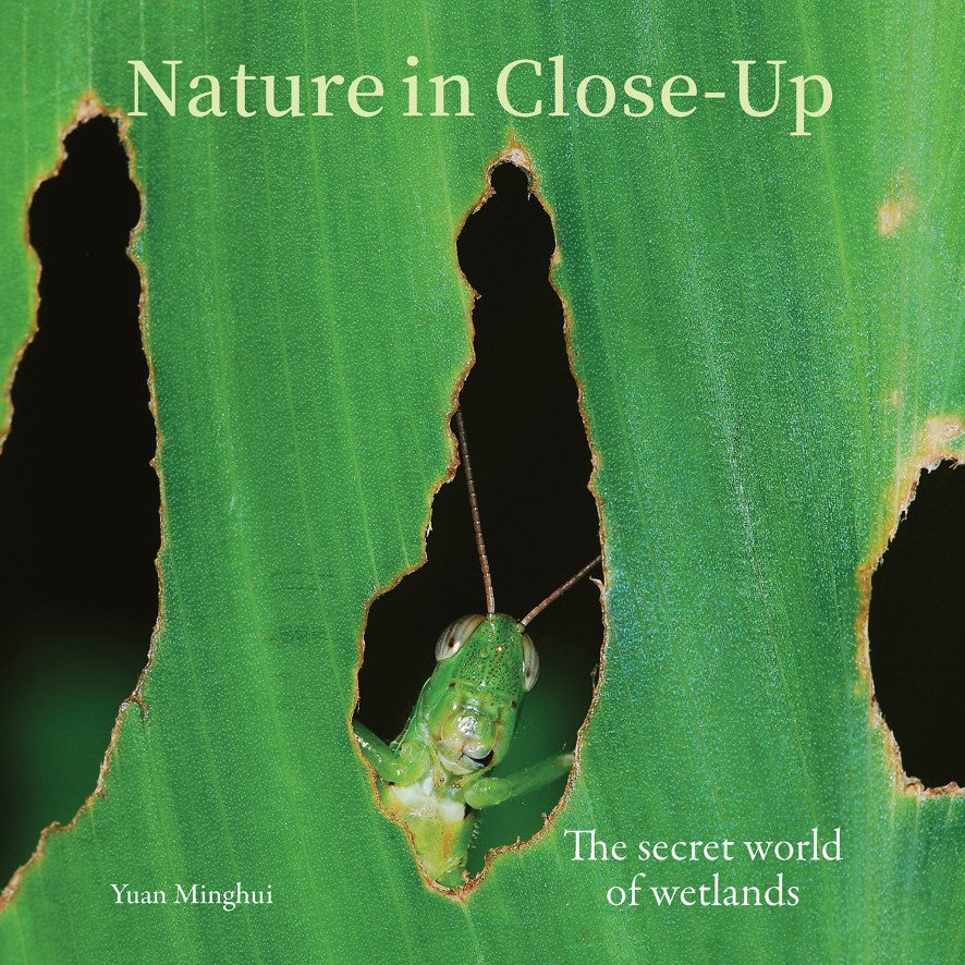 Nature in Close-Up