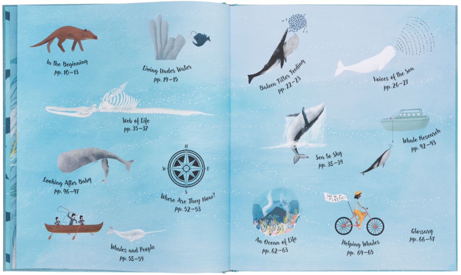 Kinderboek The World of Whales