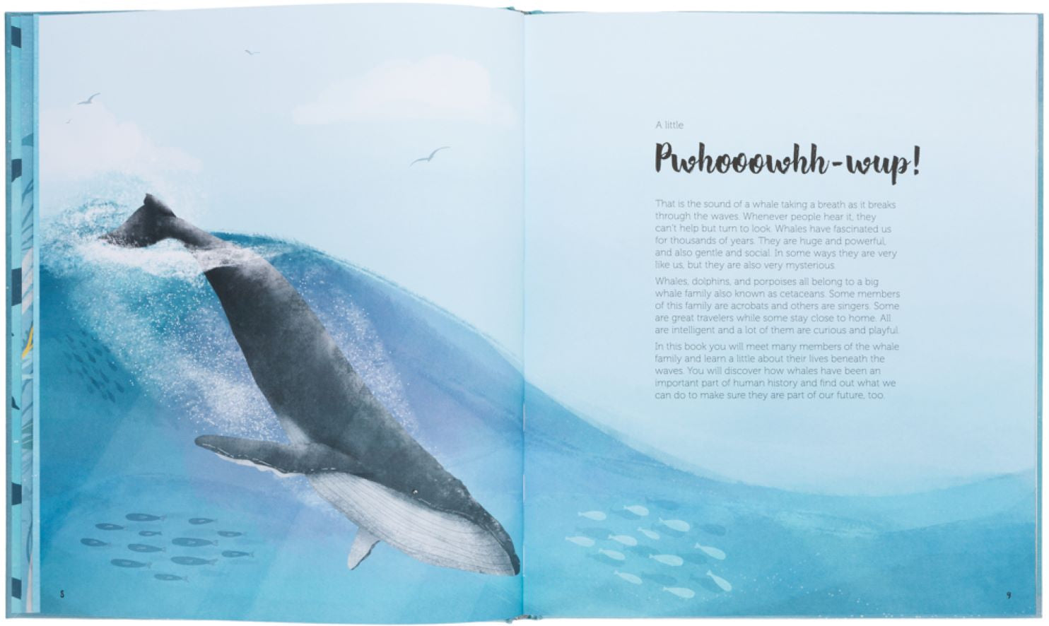 Kinderboek The World of Whales