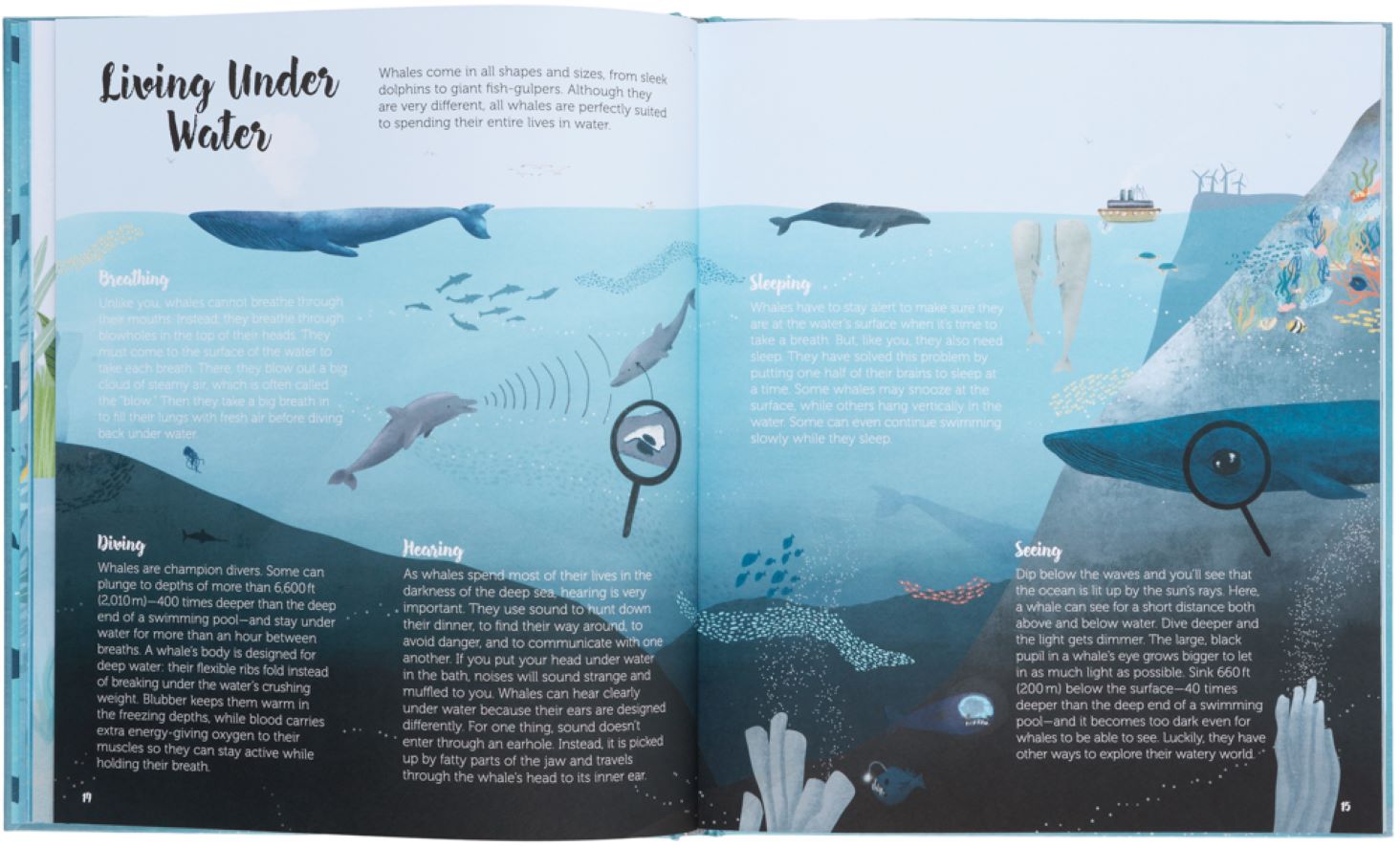 Kinderboek The World of Whales