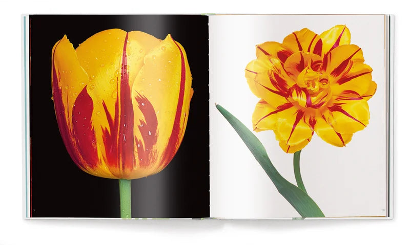 Koffietafelboek Tulips van Peter Arnold