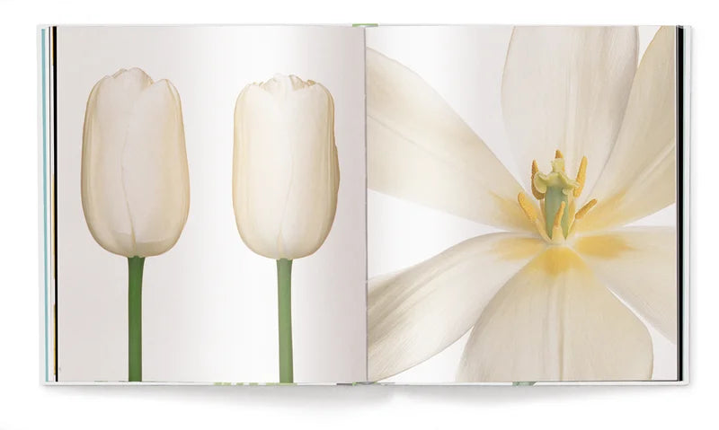 Livre de table basse Tulipes de Peter Arnold