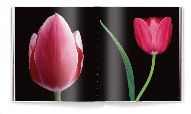 Koffietafelboek Tulips van Peter Arnold