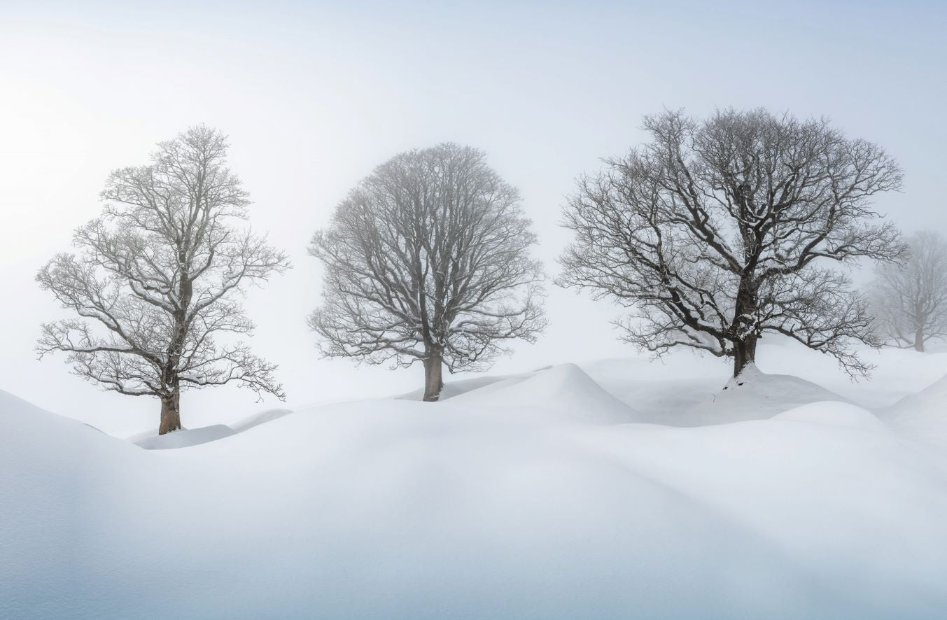 Livre de table basse Chasing Light de Stefan Forster