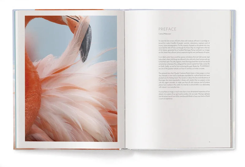 Livre de table basse Flamingo de Claudio Contreras Koob