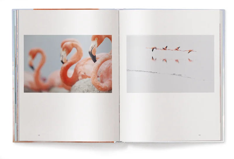 Livre de table basse Flamingo de Claudio Contreras Koob