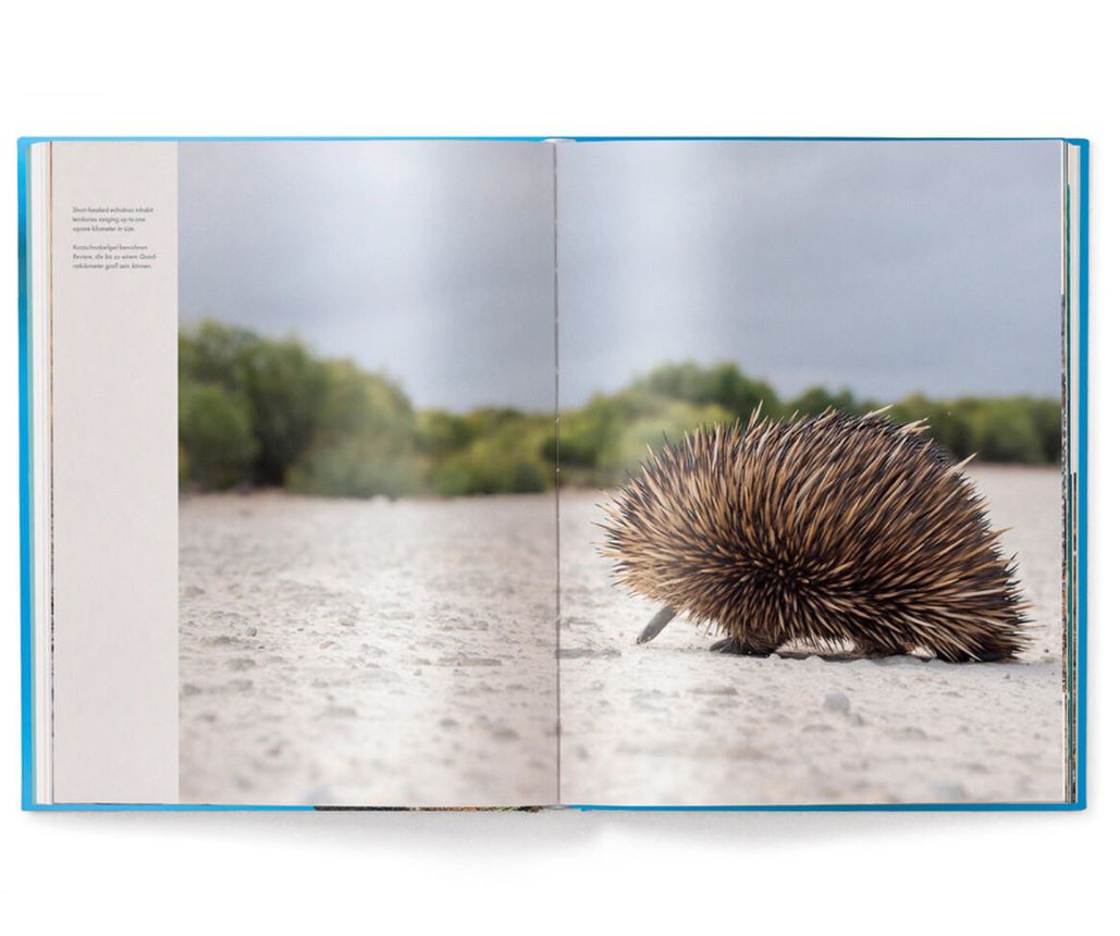 Livre de table basse unique en son genre, Le monde unique des animaux insulaires de Mario Ludwig