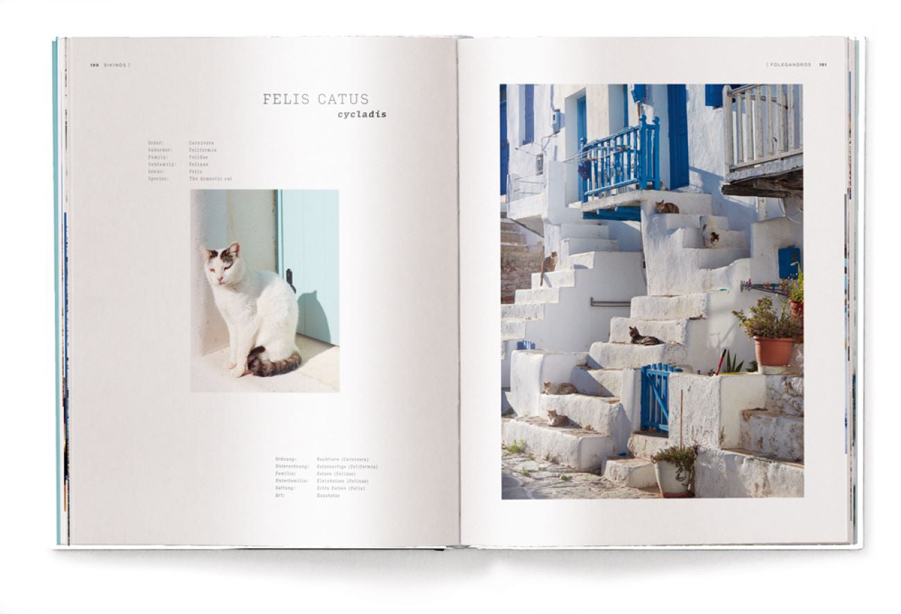 Koffietafelboek Cyclades, Greek Island Paradise van Rudi Sebastian