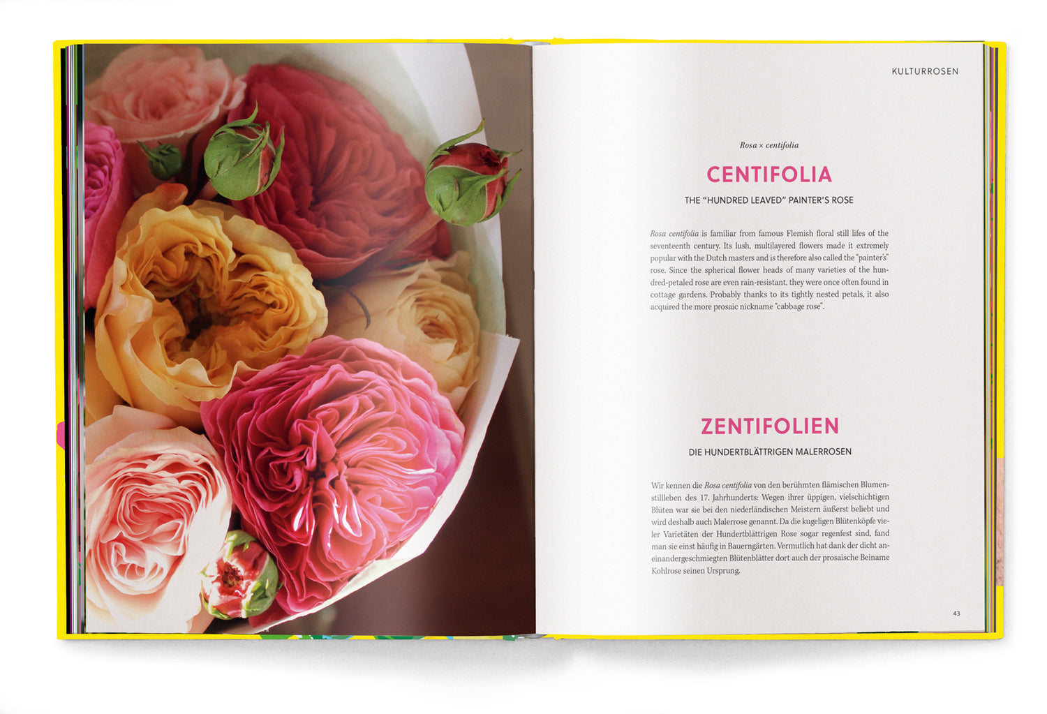 Koffietafelboek Roses, Floramour serie van Anja Klaffenbach