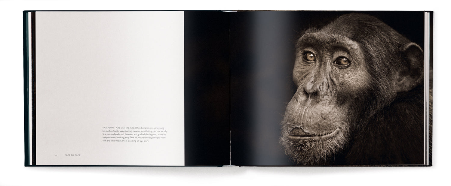 Livre de table basse Face à face, avec les grands singes par Anup Shah et Fiona Rogers