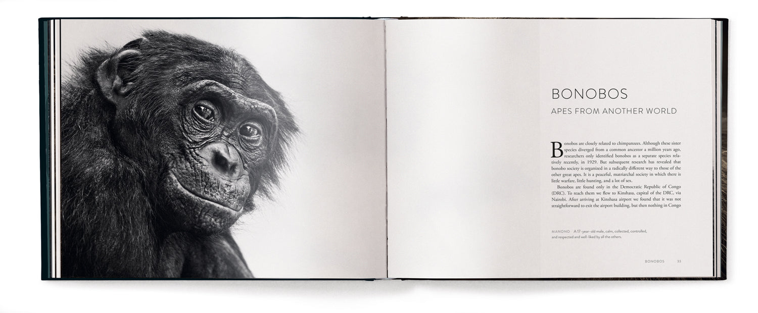 Livre de table basse Face à face, avec les grands singes par Anup Shah et Fiona Rogers