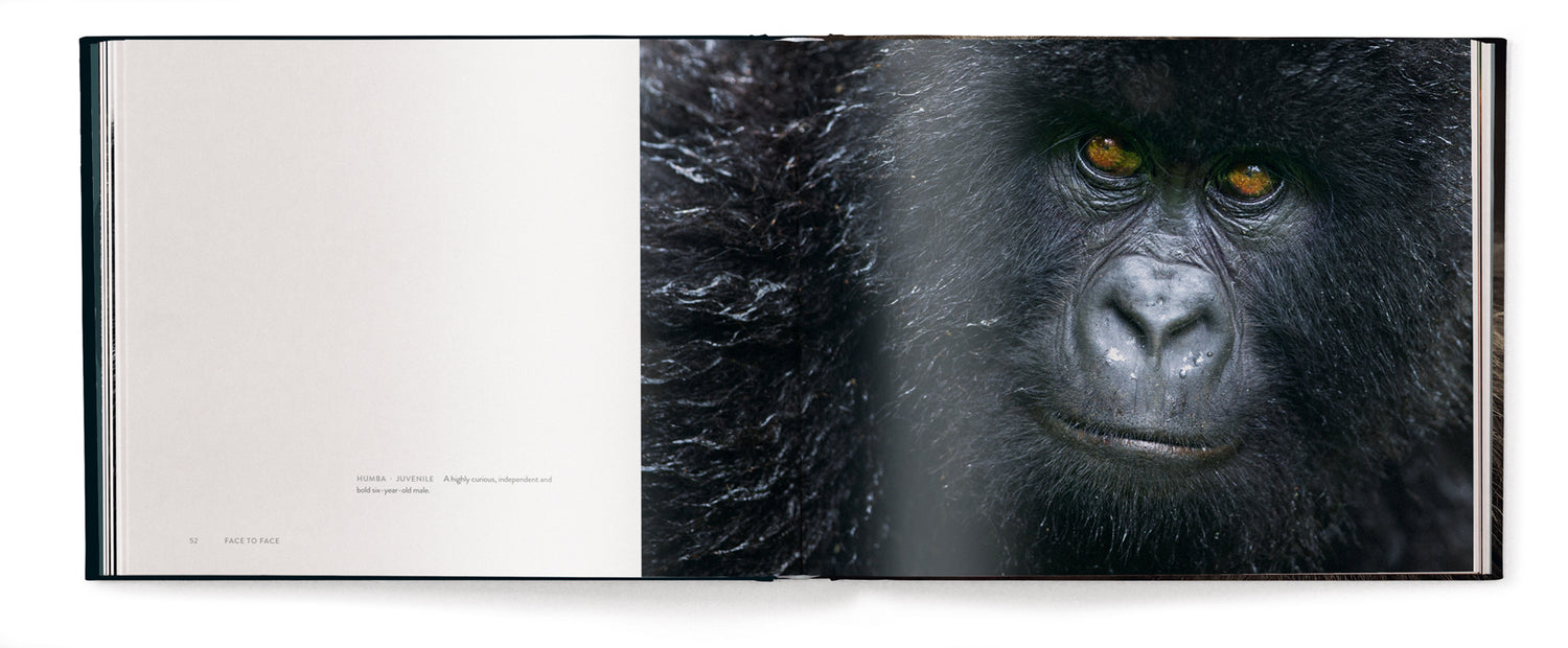 Livre de table basse Face à face, avec les grands singes par Anup Shah et Fiona Rogers