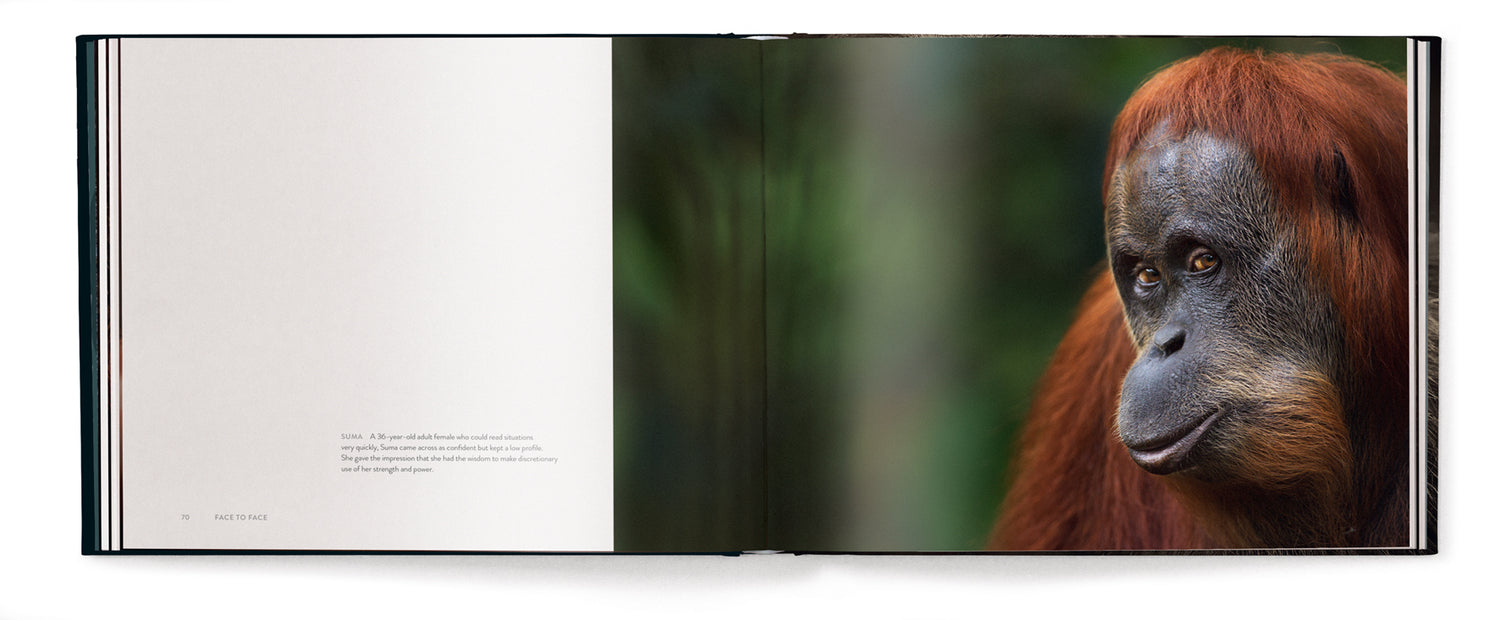 Livre de table basse Face à face, avec les grands singes par Anup Shah et Fiona Rogers