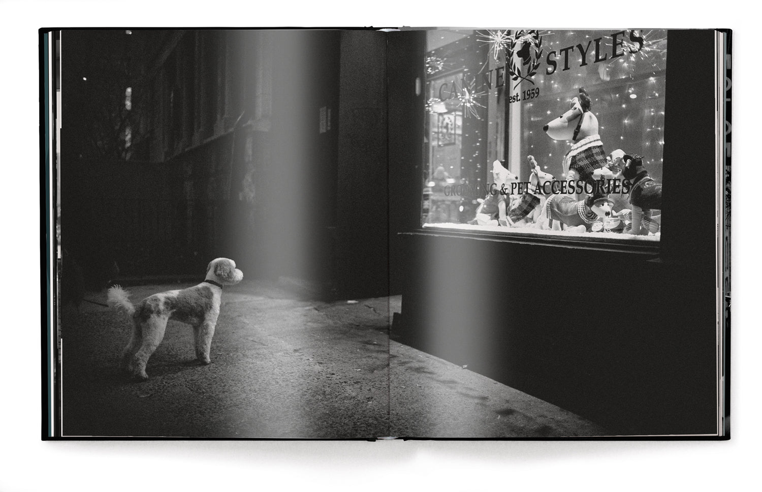 Livre de table basse New York Street Diaries par Phil Penman