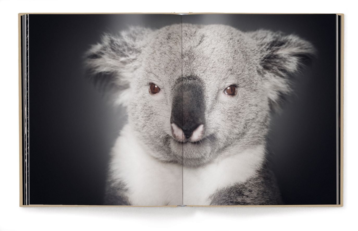 Livre de table basse Entre Nous, Portraits d'Animaux de Vincent Lagrange