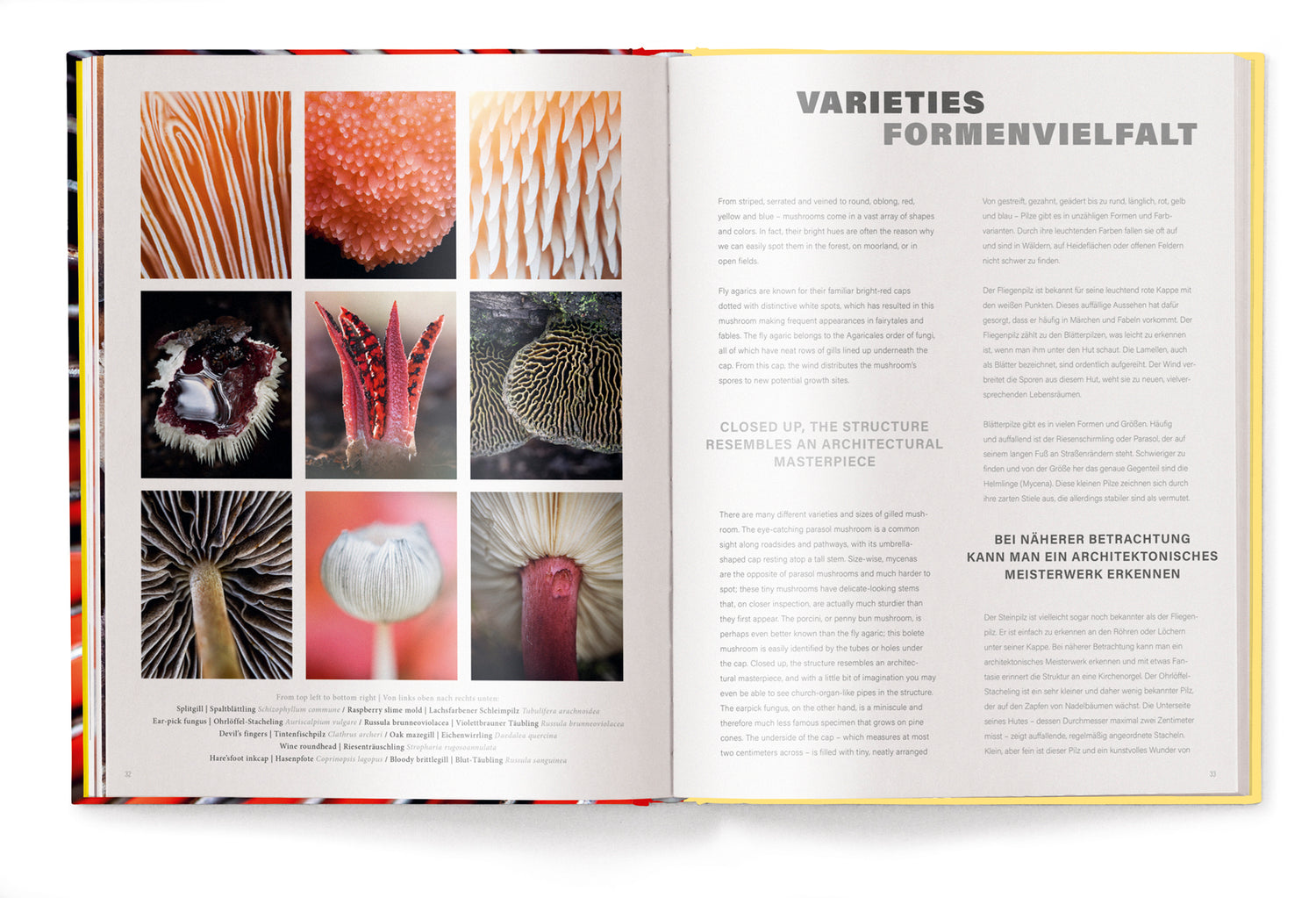 Livre de table basse Wonderland, Le monde secret des champignons de Jan Vermeer