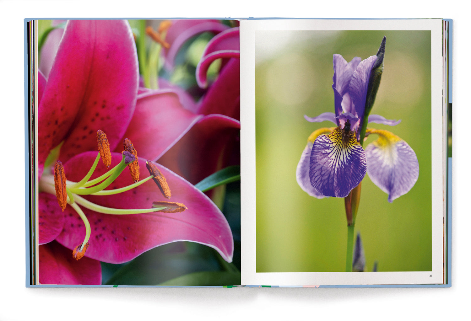 Koffietafelboek Lilies, Floramour serie van Till Hägele