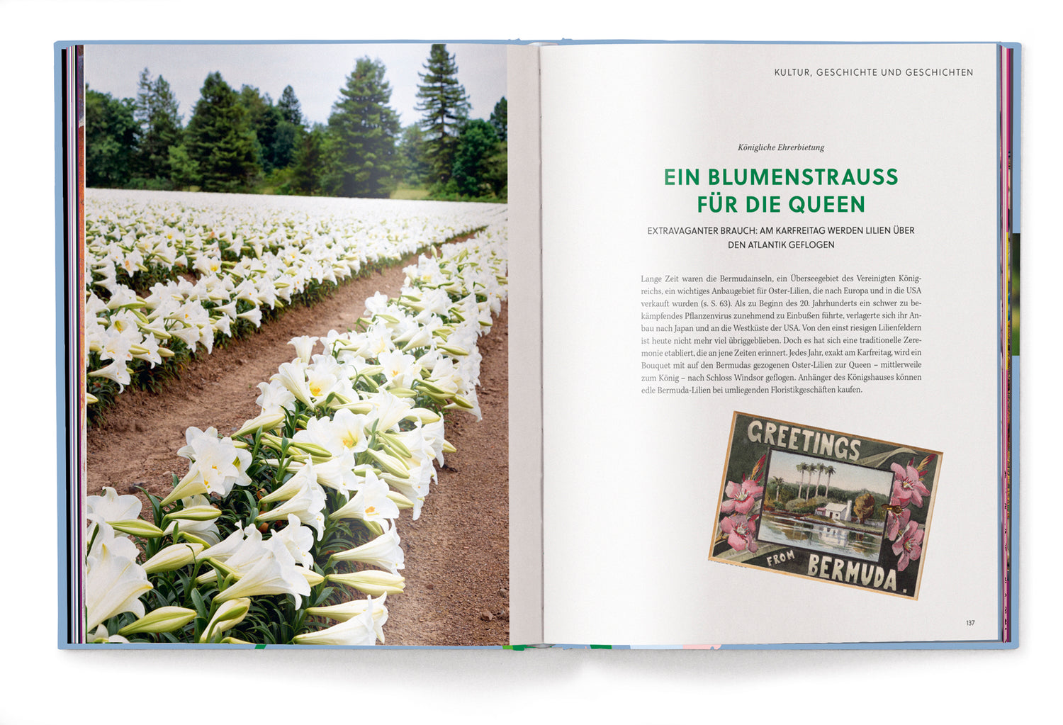 Koffietafelboek Lilies, Floramour serie van Till Hägele