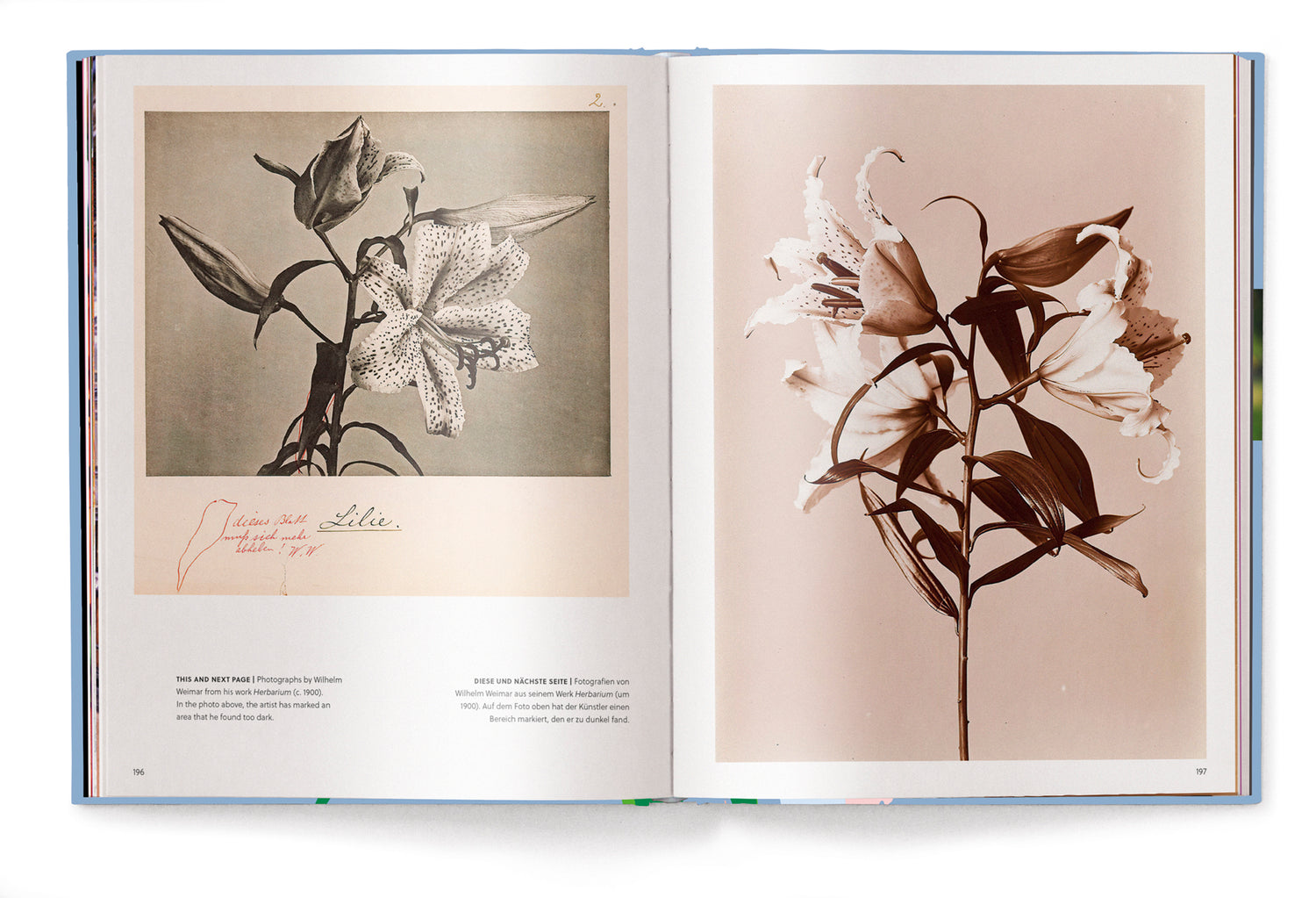 Koffietafelboek Lilies, Floramour serie van Till Hägele