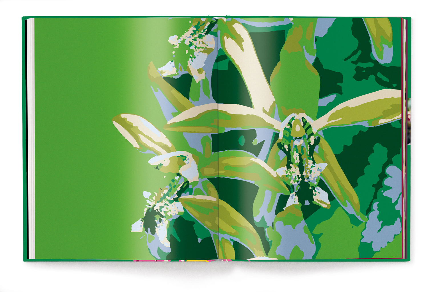 Koffietafelboek Orchids, Floramour serie van Anja Klaffenbach