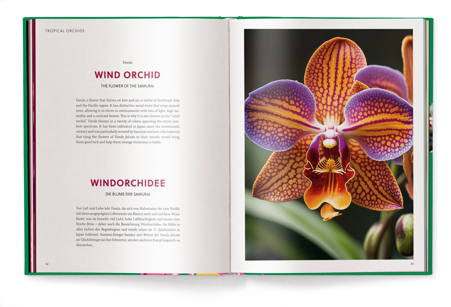 Livre de table basse Orchidées, série Floramour d'Anja Klaffenbach