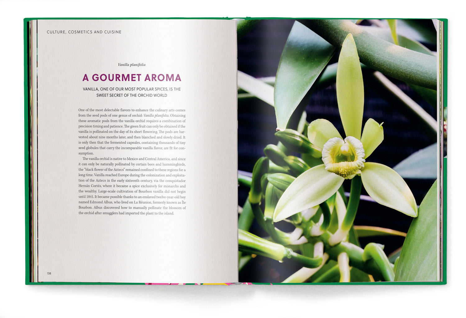 Koffietafelboek Orchids, Floramour serie van Anja Klaffenbach