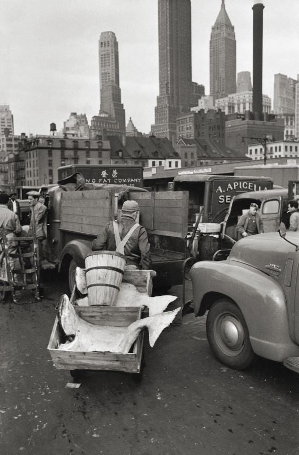 Livre de table basse Elliott Erwitt's New York Revised Edition par Elliott Erwitt