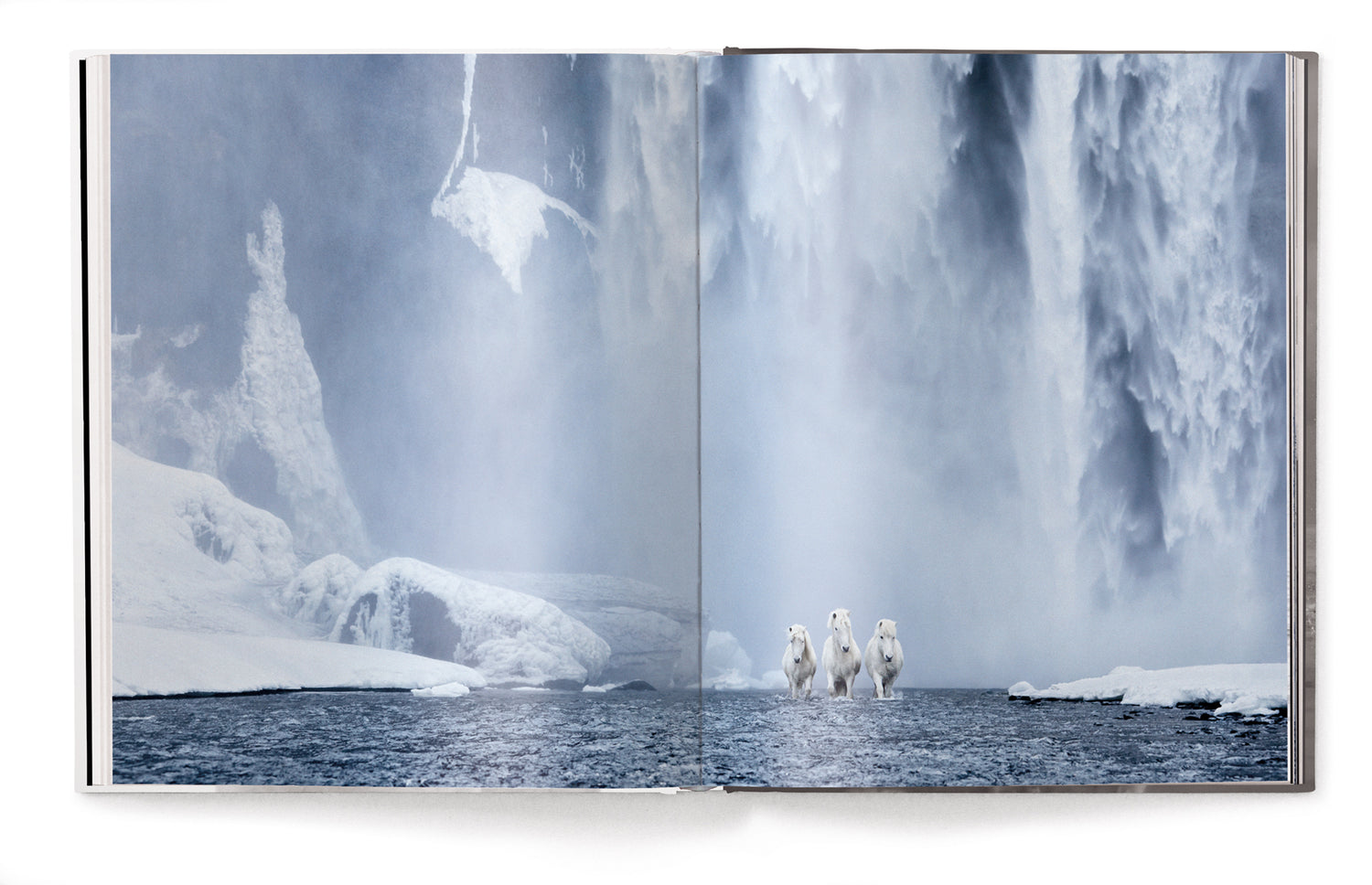 Livre de table basse Esprits indomptés, chevaux du monde entier par Drew Doggett