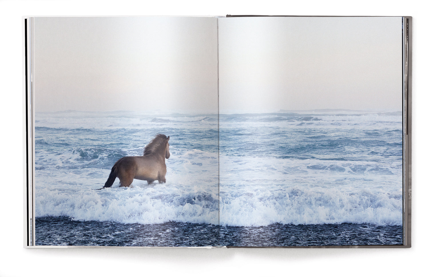 Livre de table basse Esprits indomptés, chevaux du monde entier par Drew Doggett