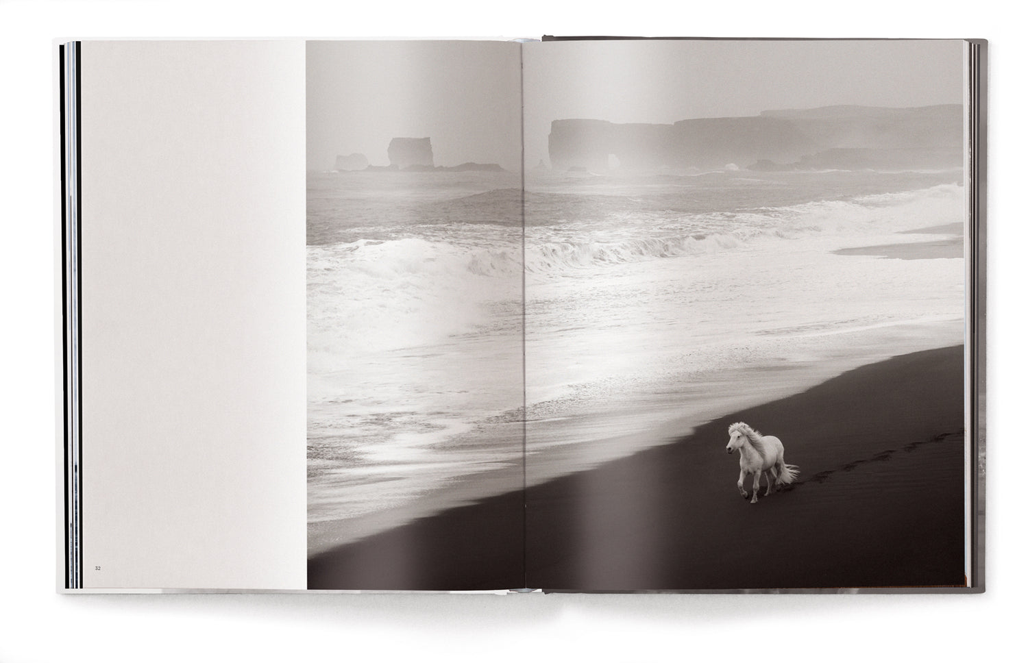 Livre de table basse Esprits indomptés, chevaux du monde entier par Drew Doggett