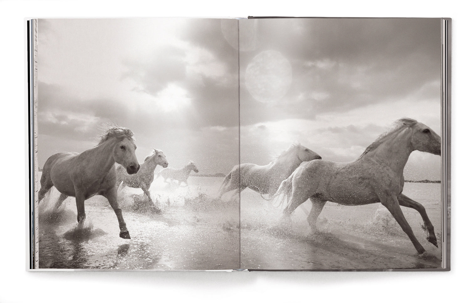 Livre de table basse Esprits indomptés, chevaux du monde entier par Drew Doggett