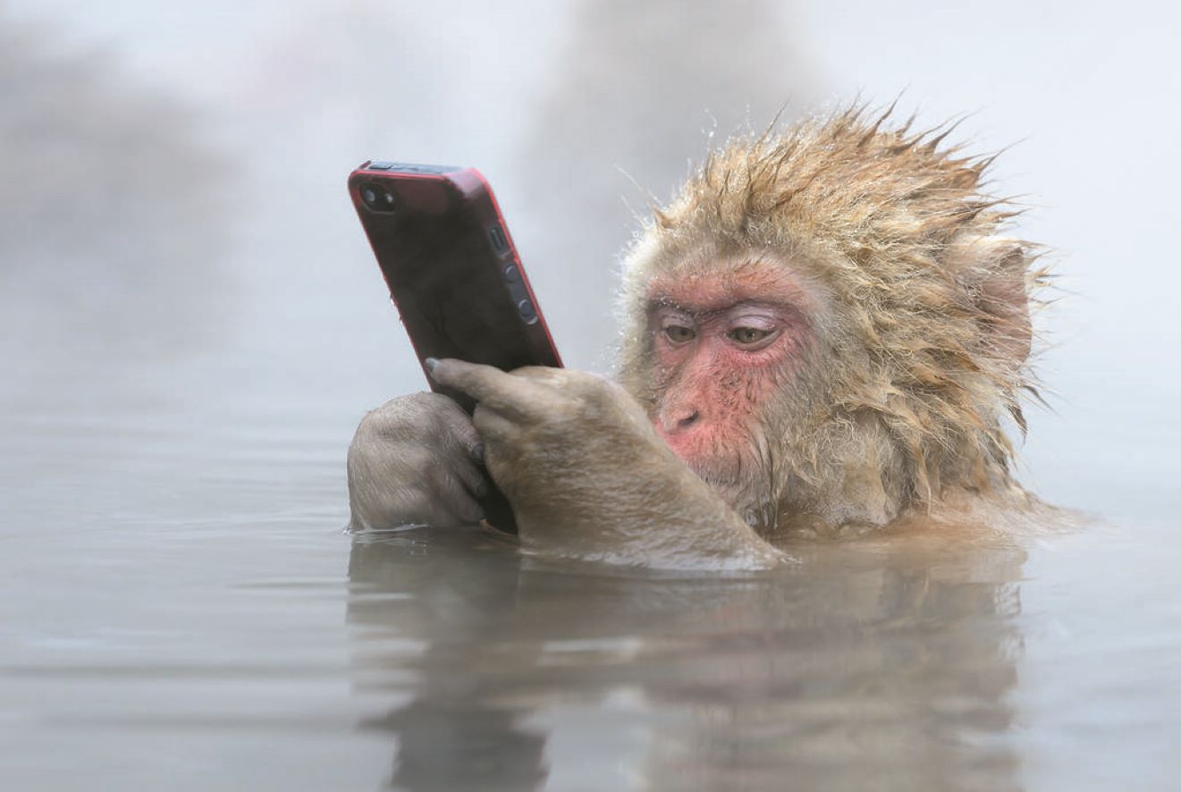 Livre de table basse Mère, un hommage à la Terre Mère par Marsel Van Oosten