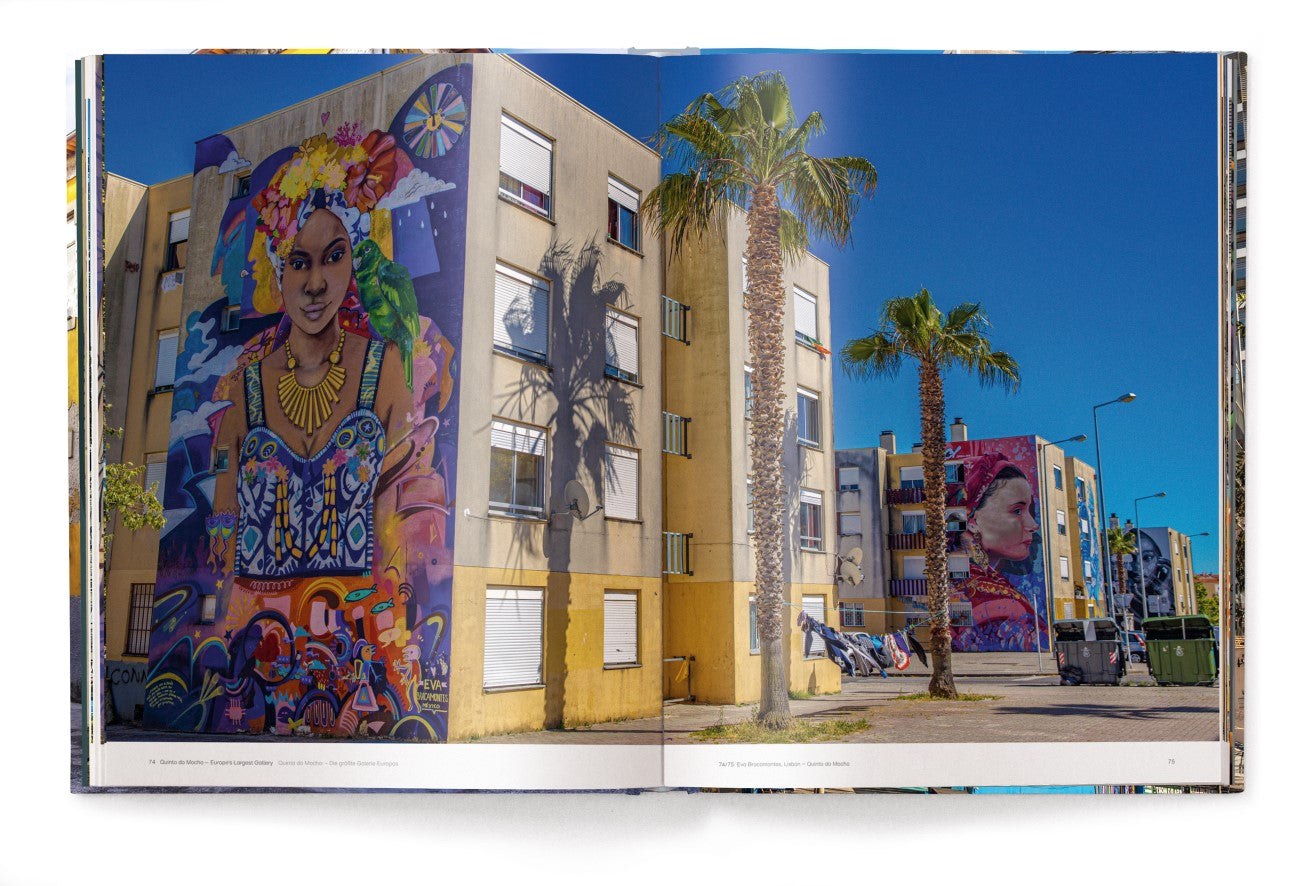 Koffietafelboek Masters of Street Art, Art without a Frame