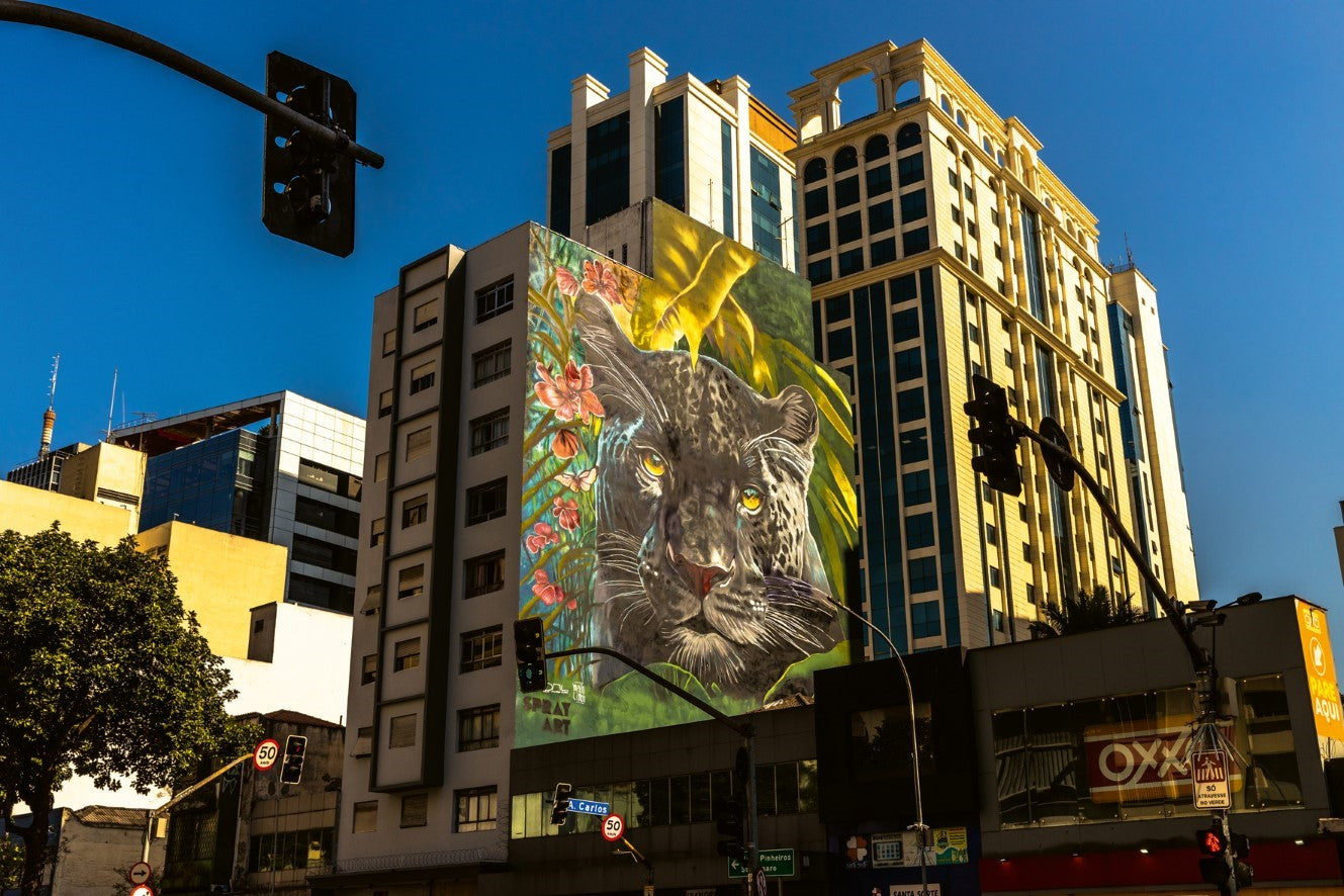 Koffietafelboek Masters of Street Art, Art without a Frame