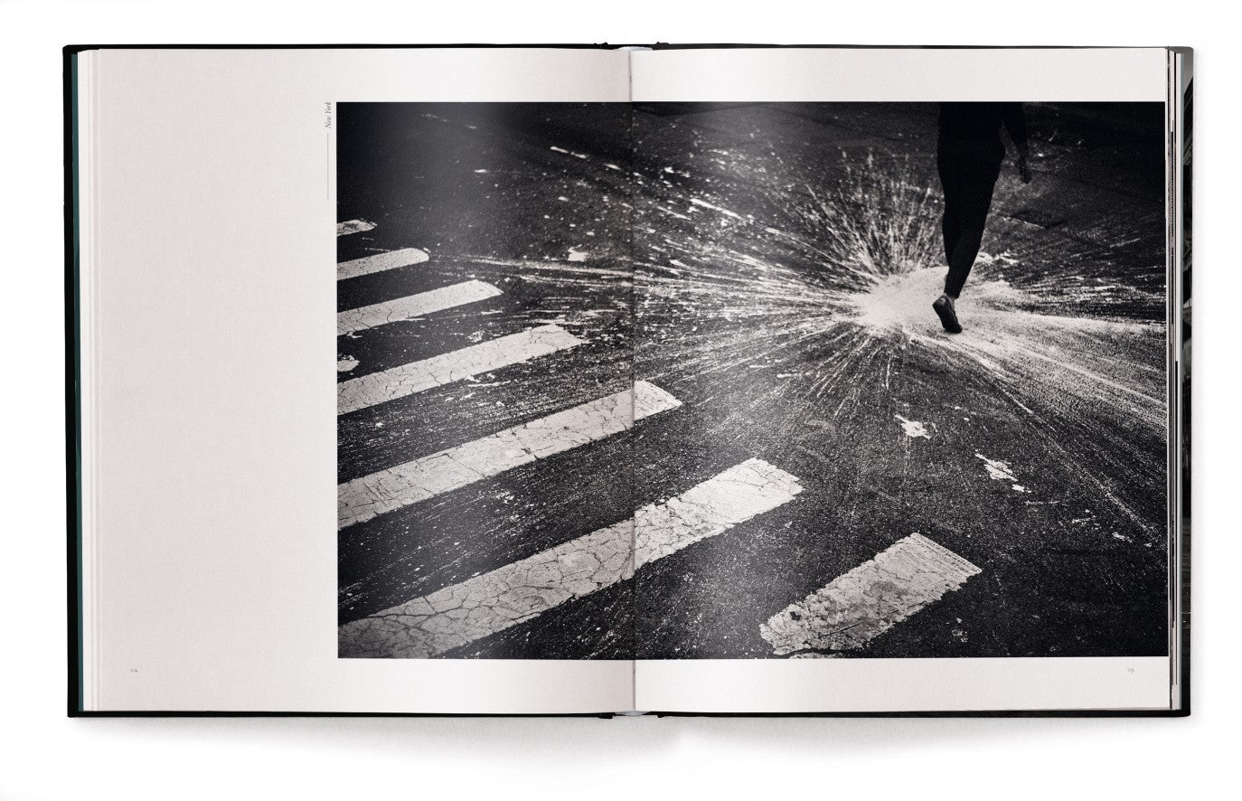 Livre de table basse New York Street Diaries par Phil Penman