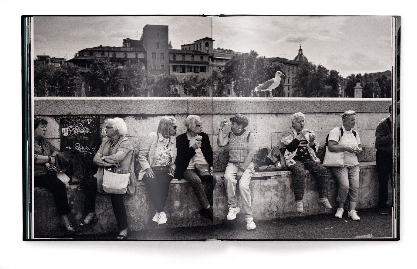 Livre de table basse New York Street Diaries par Phil Penman