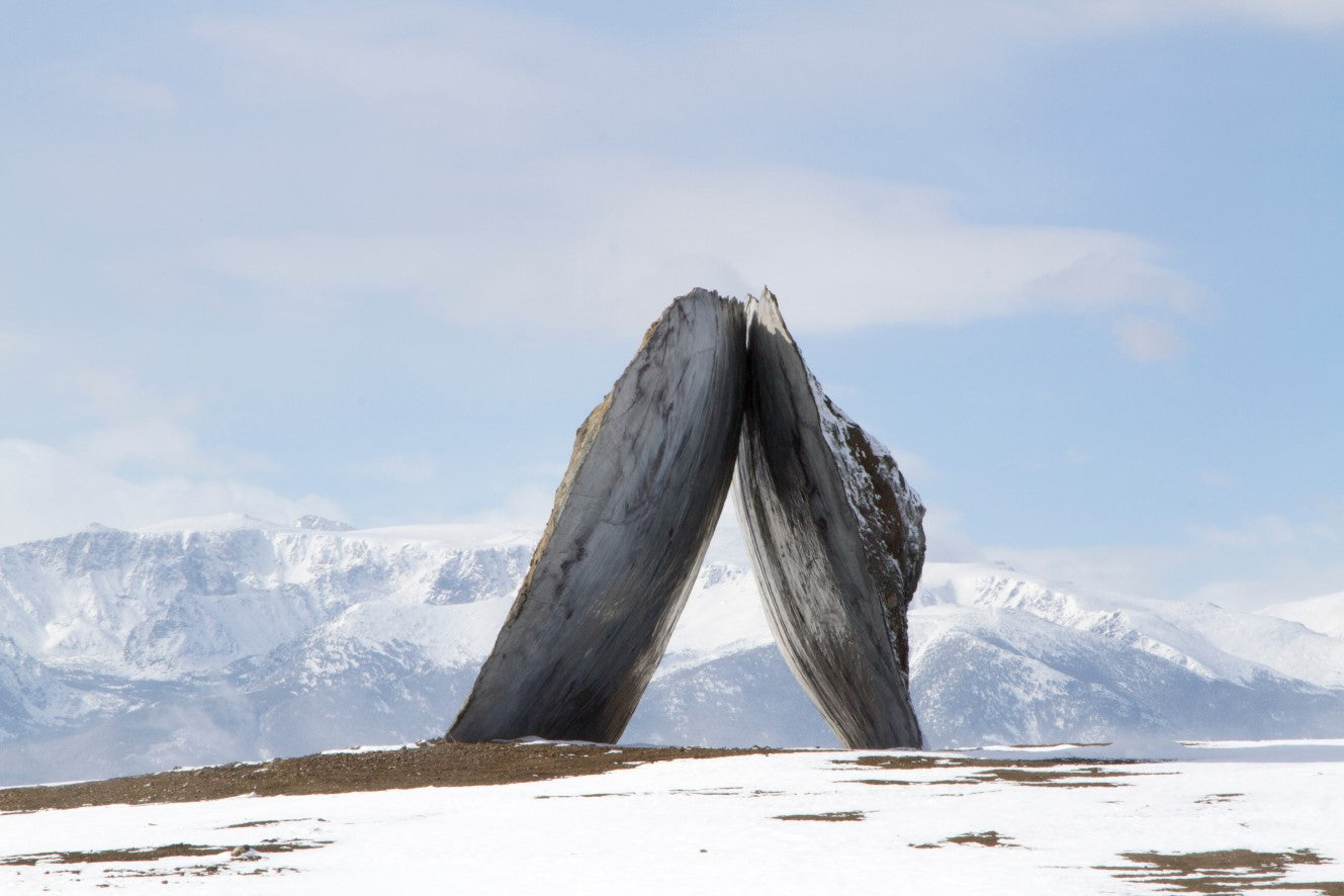 Koffietafelboek The Art Escapes Atlas