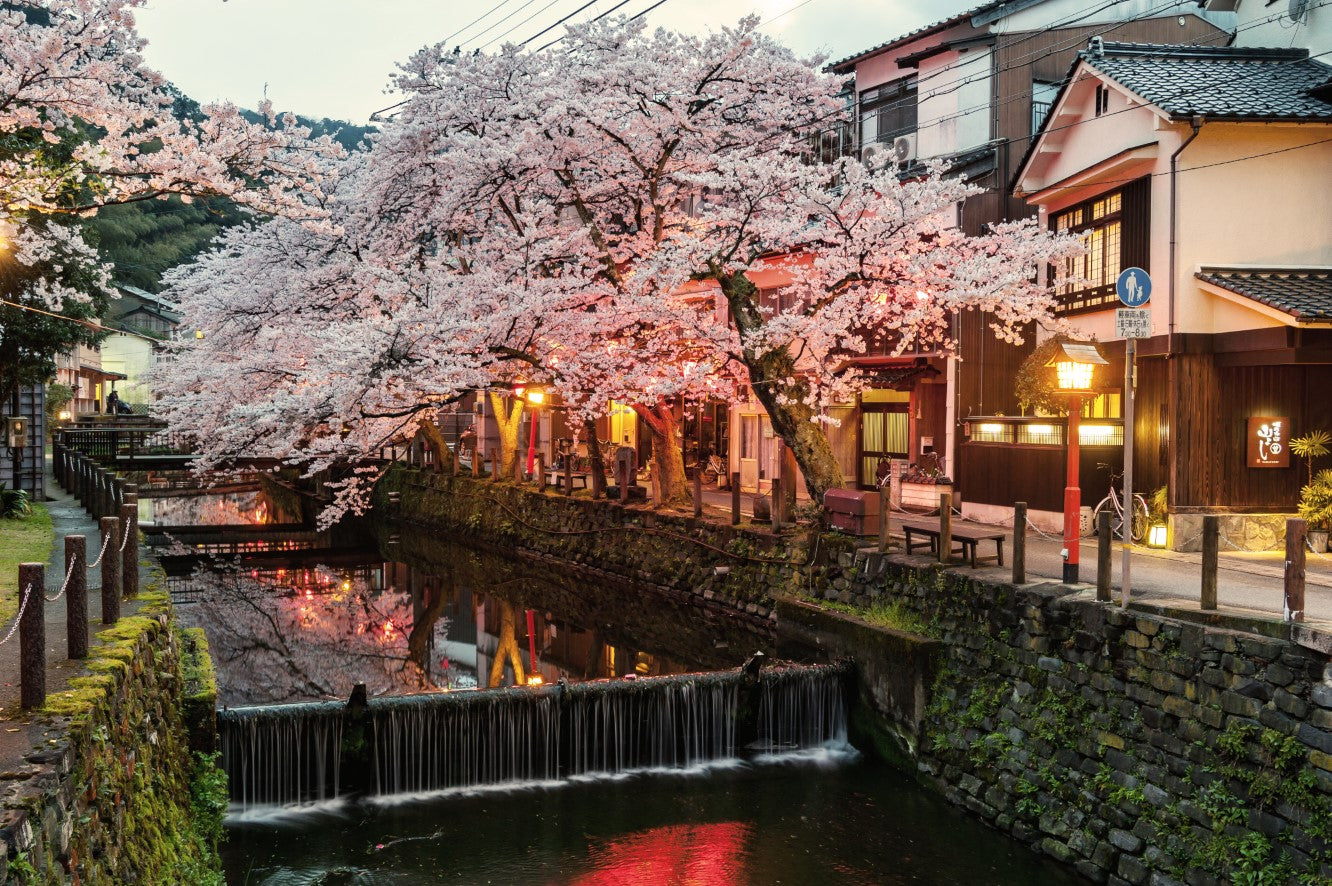 Koffietafelboek Onsen and Ryokan of Japan, Traditional Spas and Natural Bathing Culture