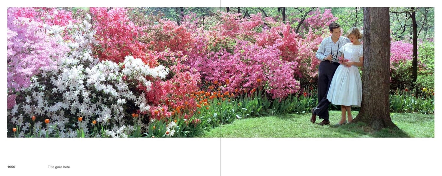 Kodak’s Colorama Archive