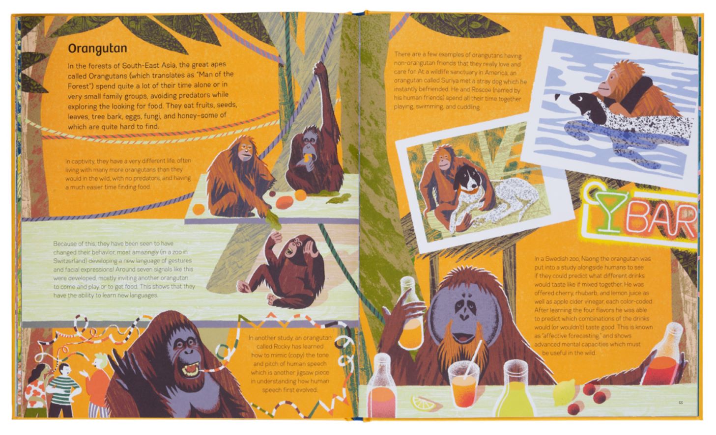 Kinderboek Smart Animals