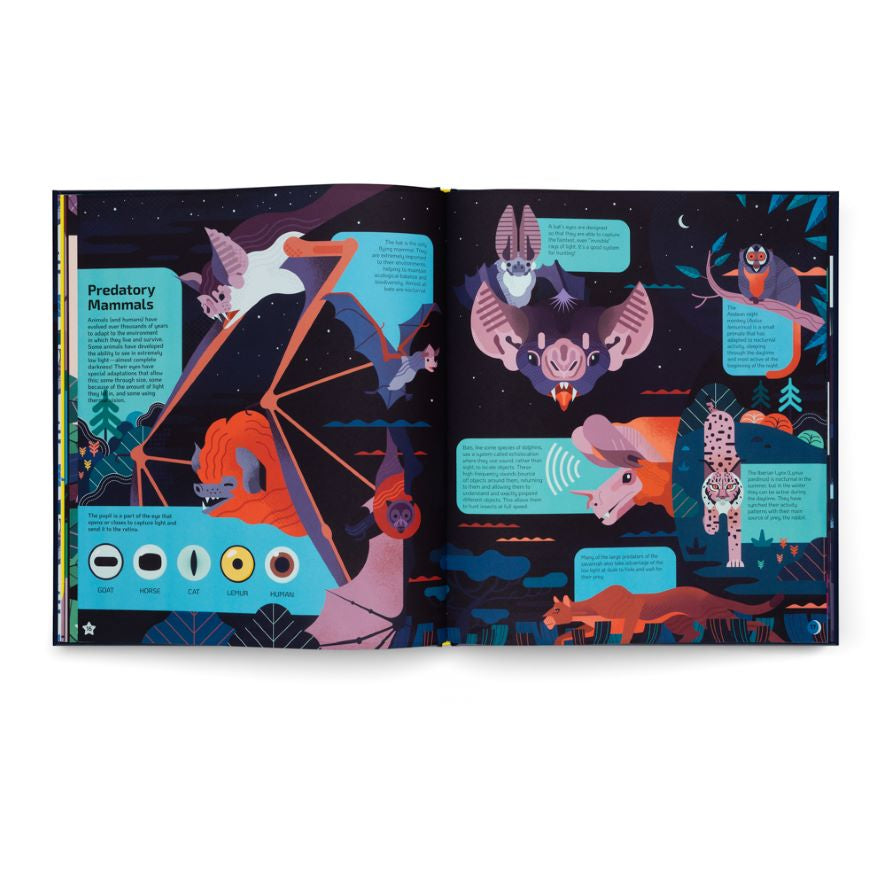 Kinderboek Nocturnal