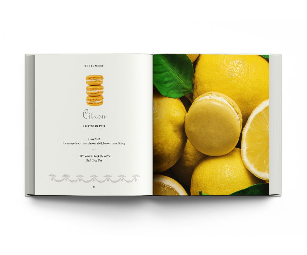 Koffietafelboek Ladurée Macarons, The Recipes van Vincent Lemains en Antonin Bonnet