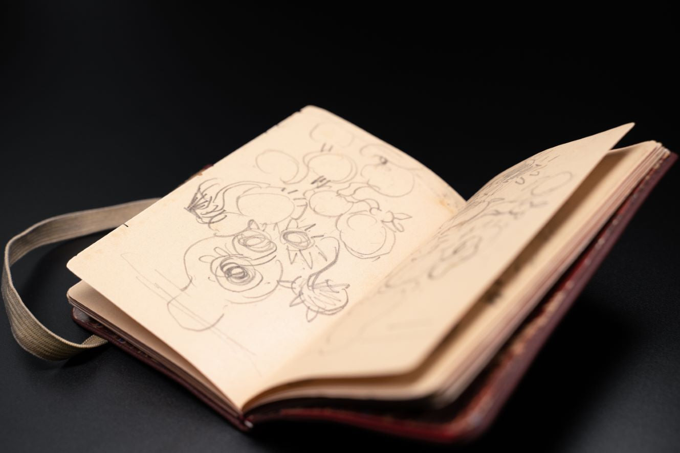 Fotoboek Vincent van Gogh, the sketchbooks and more… (Collector's Edition)