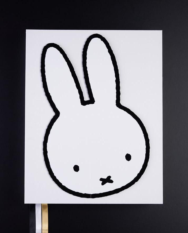 Fotoboek Nijntje XXL Miffy (Collector's Edition)