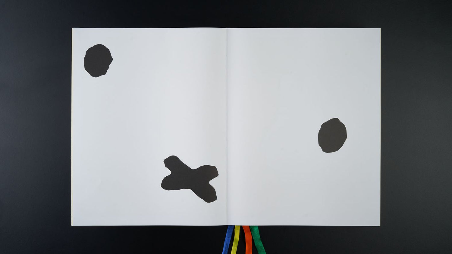 Fotoboek Nijntje XXL Miffy (Collector's Edition)