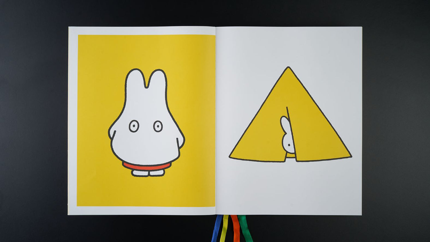 Fotoboek Nijntje XXL Miffy (Collector's Edition)